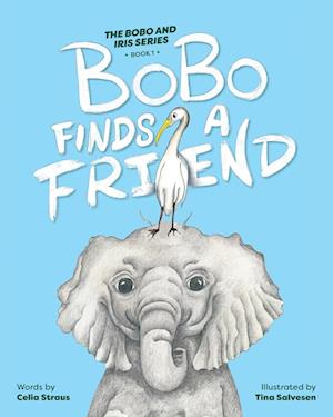 BoBo Finds a Friend