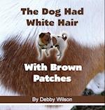 The Dog Had White Hair With Brown Patches 