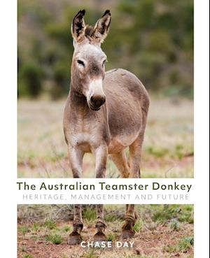 The Australian Teamster Donkey