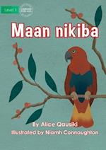 Birds - Maan nikiba