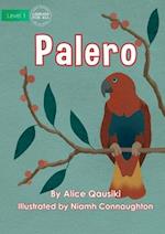 Birds - Palero