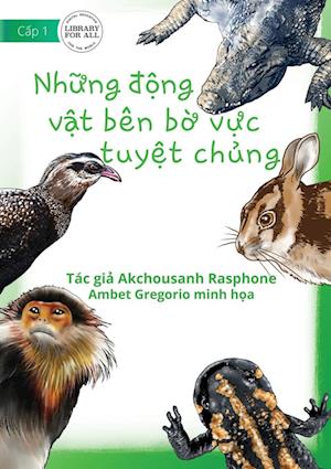 More Kinds Of Endangered Animals - Nh¿ng ¿¿ng v¿t bên b¿ v¿c tuy¿t ch¿ng