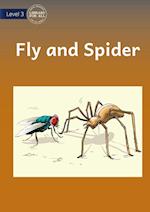 Fly And Spider 