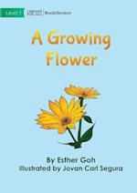 A Growing Flower 