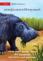 Why Hippos Have No Hair - &#6048;&#6081;&#6031;&#6075;&#6050;&#6098;&#6044;&#6072;&#6036;&#6070;&#6035;&#6023;&#6070;&#6026;&#6086;&#6042;&#6072;&#603