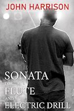 Sonata for Flute and Electric Drill 