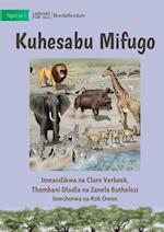 Counting Animals - Kuhesabu Mifugo