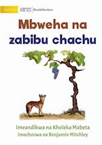 Fox and sour grapes - Mbweha na zabibu chachu