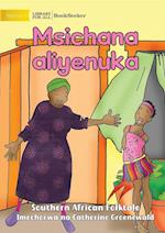 Grandmother And The Smelly Girl - Msichana aliyenuka