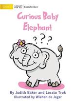 Curious Baby Elephant 