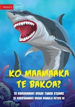 Are You Afraid of Sharks? - Ko maamaaka te bakoa? (Te Kiribati)