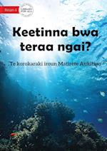 Guess Who I Am? - Keetinna bwa teraa ngai? (Te Kiribati)