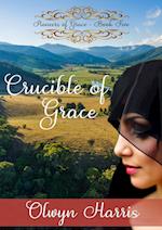 Crucible of Grace 