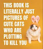 This Book Is Literally Just Cute Cats Who Are Plotting to Kill You