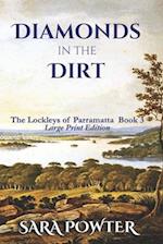 Diamonds in the Dirt: Large Print Edition 