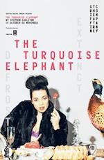 Carleton, S: Turquoise Elephant