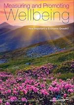 Measuring and Promoting Wellbeing: How Important is Economic Growth? 