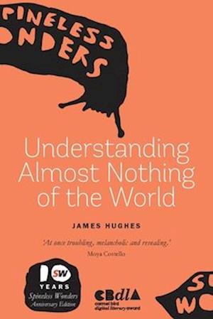 Understanding Almost Nothing Of The World