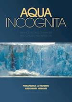 Aqua Incognita: Why Ice Floats on Water and Galileo 400 Years on 