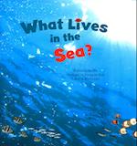 What Lives in the Sea?