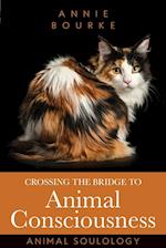 Crossing the Bridge to Animal Consciousness