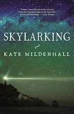 Skylarking