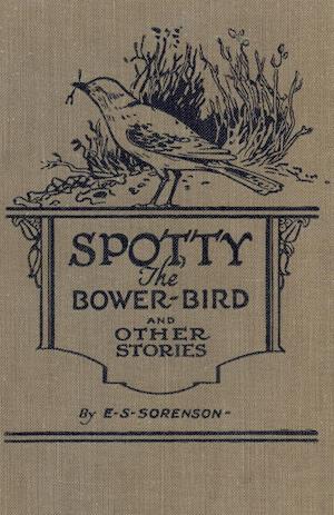 Spotty the Bower Bird