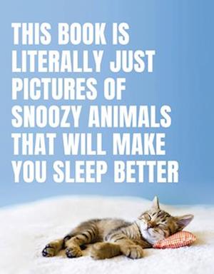 This Book Is Literally Just Pictures of Snoozy Animals That Will Make You Sleep Better