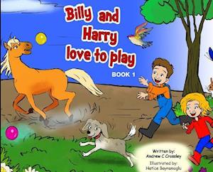 Billy and Harry Love to Play