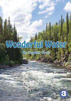 Wonderful Water