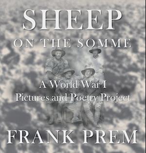 Sheep On The Somme