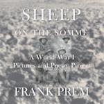 Sheep On The Somme 