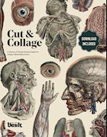 Cut and Collage A Treasury of Vintage Anatomy Images for Collage and Mixed Media Artists