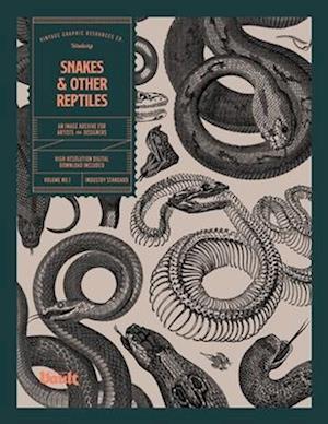 Snakes and Other Reptiles