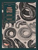 Snakes and Other Reptiles 