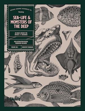 Sea-life & Monsters of the Deep