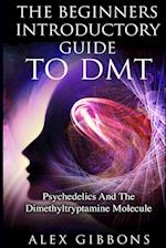 The Beginners Introductory Guide To DMT -  Psychedelics And The Dimethyltryptamine Molecule