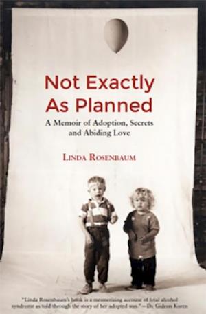 Not Exactly as Plaaned: A memoir of Adoption, Secrets and Abiding Love