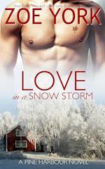 Love in a Snowstorm