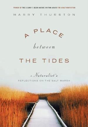 Place Between the Tides