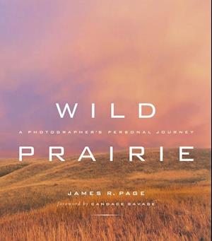 Wild Prairie