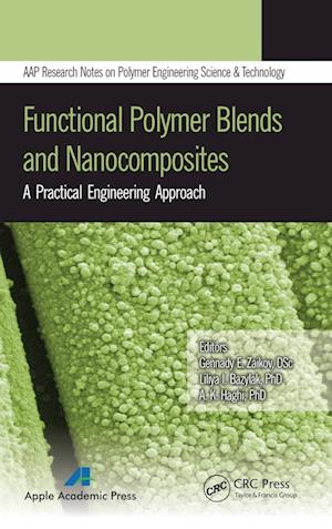 Functional Polymer Blends and Nanocomposites