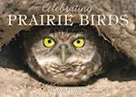 Celebrating Prairie Birds
