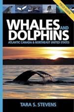 Stevens, T: Whales & Dolphins of Atlantic Canada & Northeast