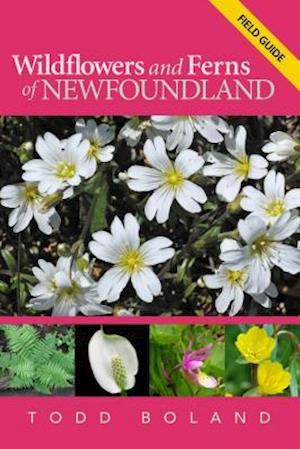 Wildflowers and Ferns of Newfoundland and Labrador