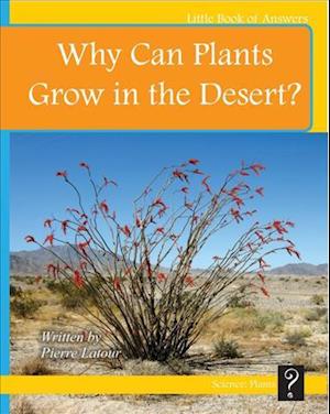 Why Can Plants Grow in the Desert?