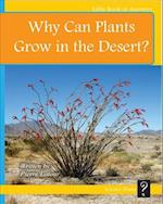 Why Can Plants Grow in the Desert?