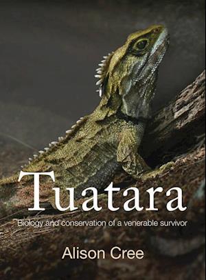 Cree, A:  Tuatara