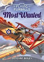 Flying Furballs 4: Most Wanted