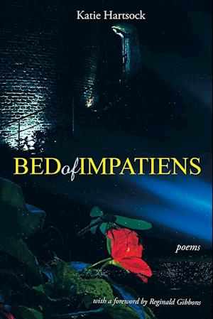 Bed of Impatiens